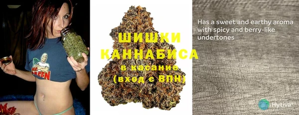 ГАЛЛЮЦИНОГЕННЫЕ ГРИБЫ Киреевск