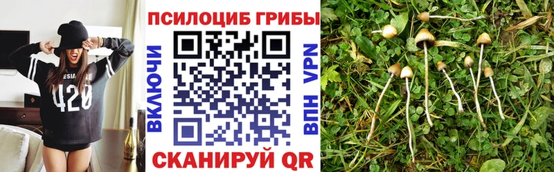 Галлюциногенные грибы Magic Shrooms  Кирово-Чепецк 